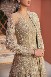Elegant Net Pakistani Bridal Dress with Intricate Embroidery