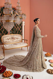 Elegant Net Pakistani Bridal Dress with Intricate Embroidery