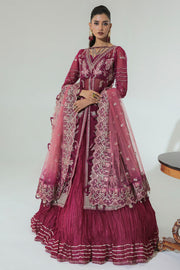 Shop Classic Plum Embellished Pakistani Wedding Dress in Gown Style Pishwas