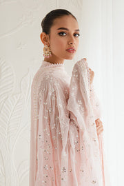 Shop Classic Shell Pink Embroidered Pakistani Salwar Kameez Dupatta Suit