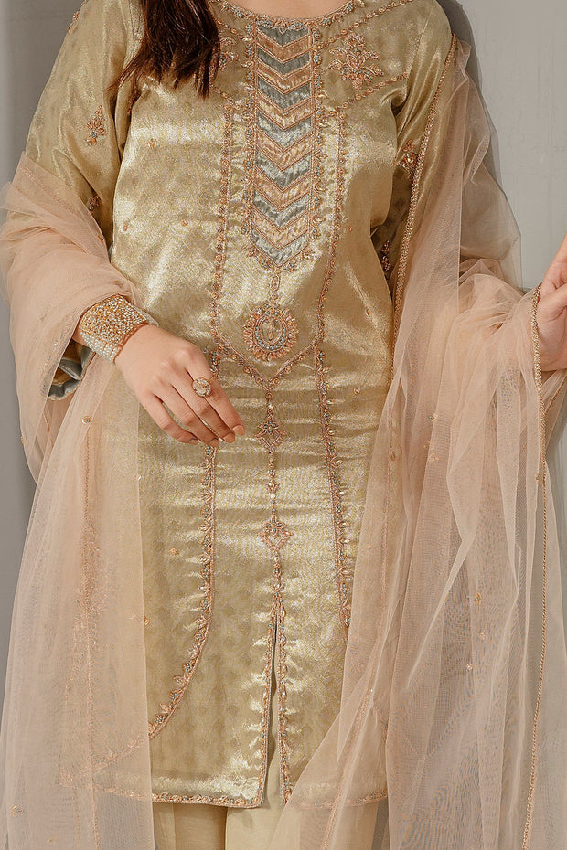 Shop Copper Embroidered Pakistani Salwar Kameez with Dupatta Salwar Suit