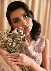 Shop Elegant Soft Pink Embroidered Pakistani Wedding Dress Kameez Trousers