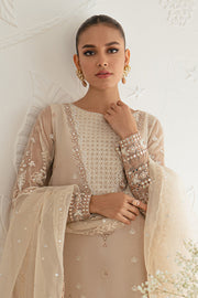 Shop Elegantly Embellished Dusty Brown Pakistani Salwar Kameez Dupatta 2023