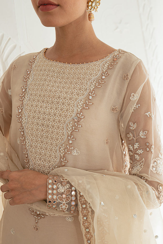 Shop Elegantly Embellished Dusty Brown Pakistani Salwar Kameez Dupatta