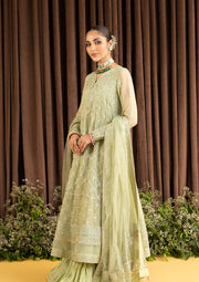 Shop Green Embroidered Kameez Crushed Sharara Pakistani Party Dress