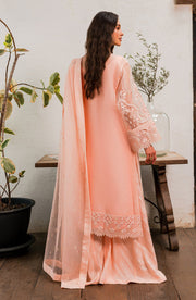 Shop Luxury Embroidered Peach Pakistani Salwar Kameez Salwar Dupatta Suit