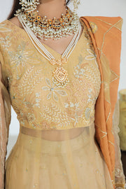 Shop Luxury Gold Floral Embellished Pakistani Wedding Dress in Pishwas Style
