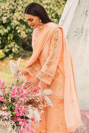 Shop Luxury Pakistani Peach Salwar Suit Embroidered Salwar Kameez