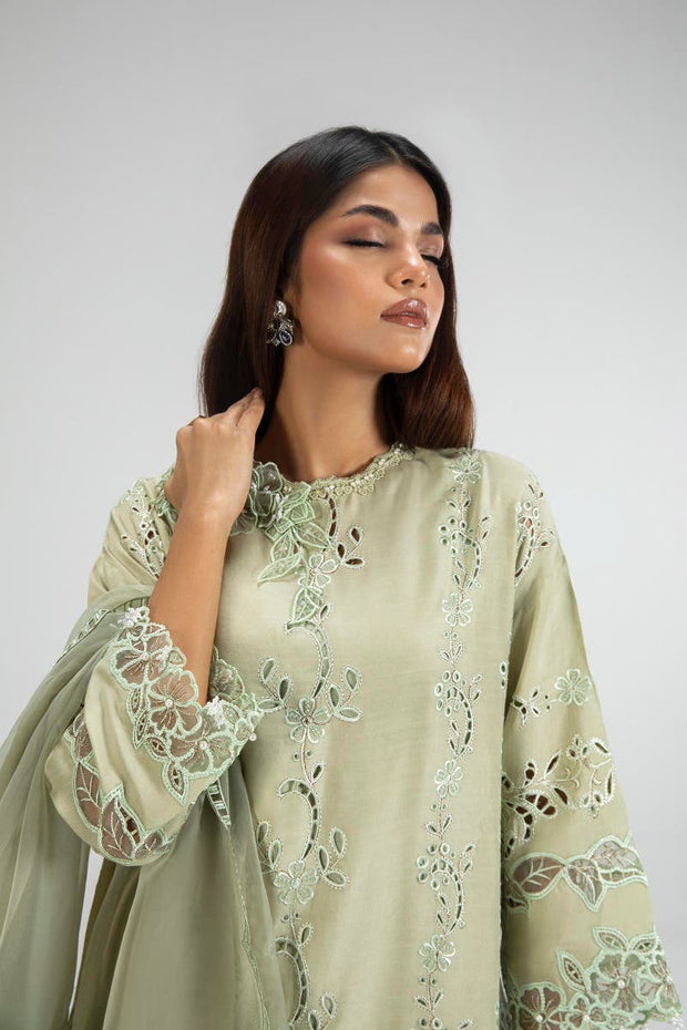 Shop Olive Green Straight shirt Style Luxury Pret Pakistani Salwar Suit