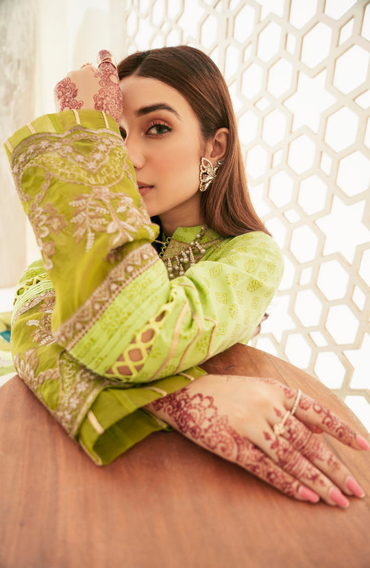 Parrot Green Embroidered Pakistani Salwar Kameez Suit XLARGE Parrot Green Embroidered Pakistani Salwar Kameez Suit XLARGE