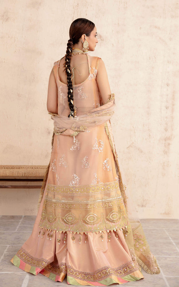 Shop Peach Hand Embellished Pakistani Party Dress in Kameez Gharara Style