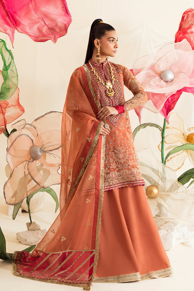 Shop Peach Pink Embellished Pakistani Wedding Dress Kameez Sharara 2023