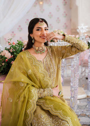 Shop Royal Mehndi Green Embroidered Pakistani Sharara Kameez in Crushed Style