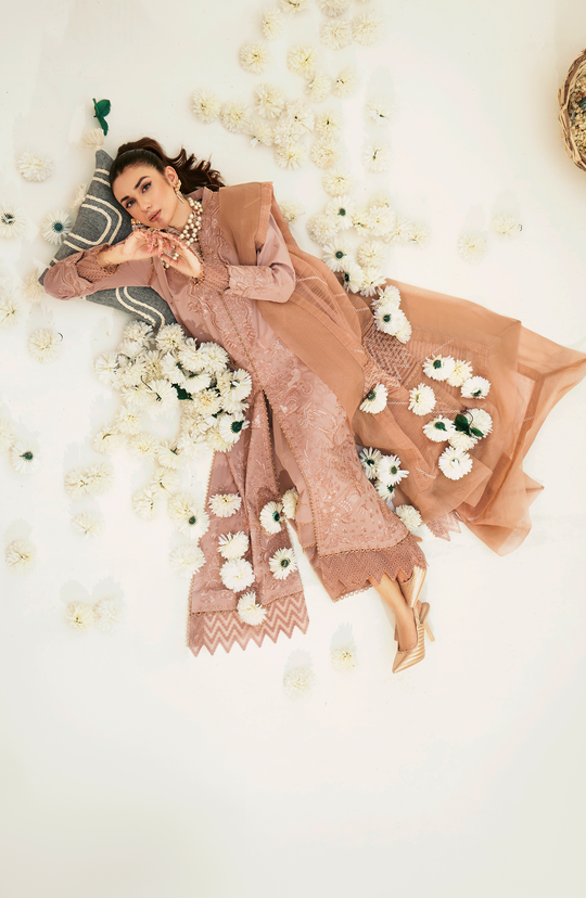 Shop Rusty Pink Embroidered Pakistani Salwar Kameez with Dupatta Dress