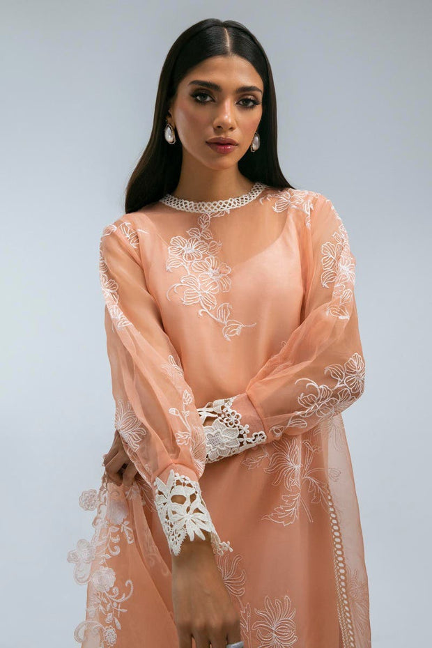 Shop Salmon Pink Organza Straight Shirt Luxury Pret Pakistani Salwar Kameez