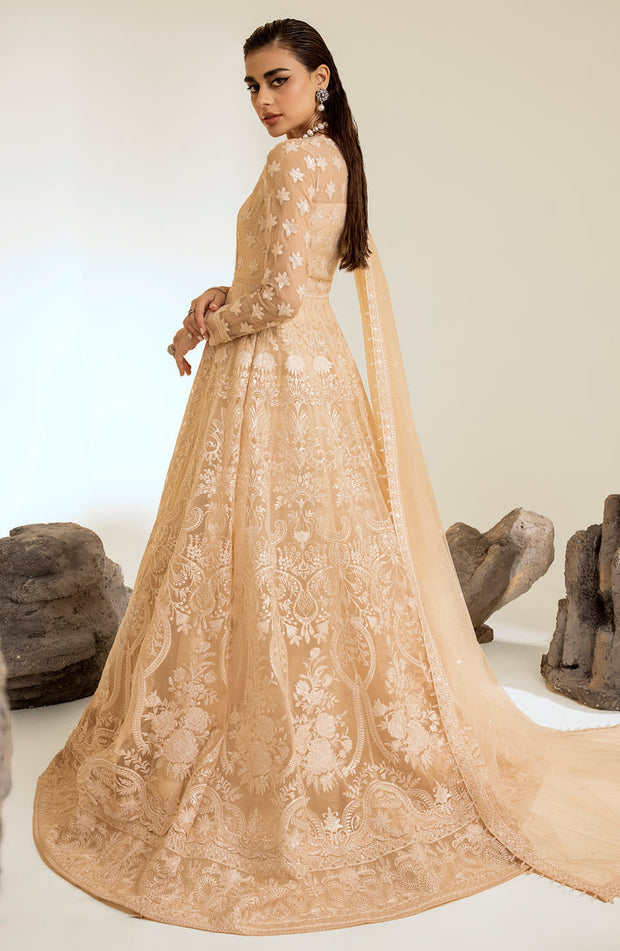 Shop Skin Embroidered Pakistani Wedding Dress in Elegant Pishwas Frock Style 2023