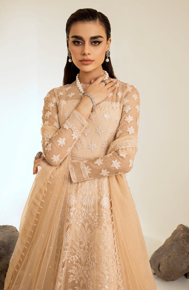 Shop Skin Embroidered Pakistani Wedding Dress in Elegant Pishwas Frock Style