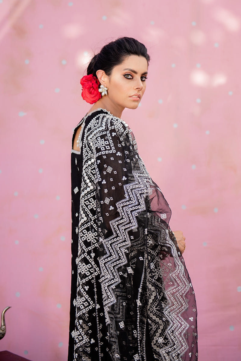 Shop Traditional Embroidered Black Pakistani Salwar Kameez Dupatta Salwar Suit