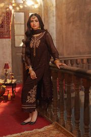 Shop Walnut Brown Embroidered Pakistani Salwar Kameez Dupatta Suit In USA 2024