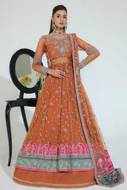Sunehri Rust Embroidered Pakistani Wedding Dress in Pishwas Style