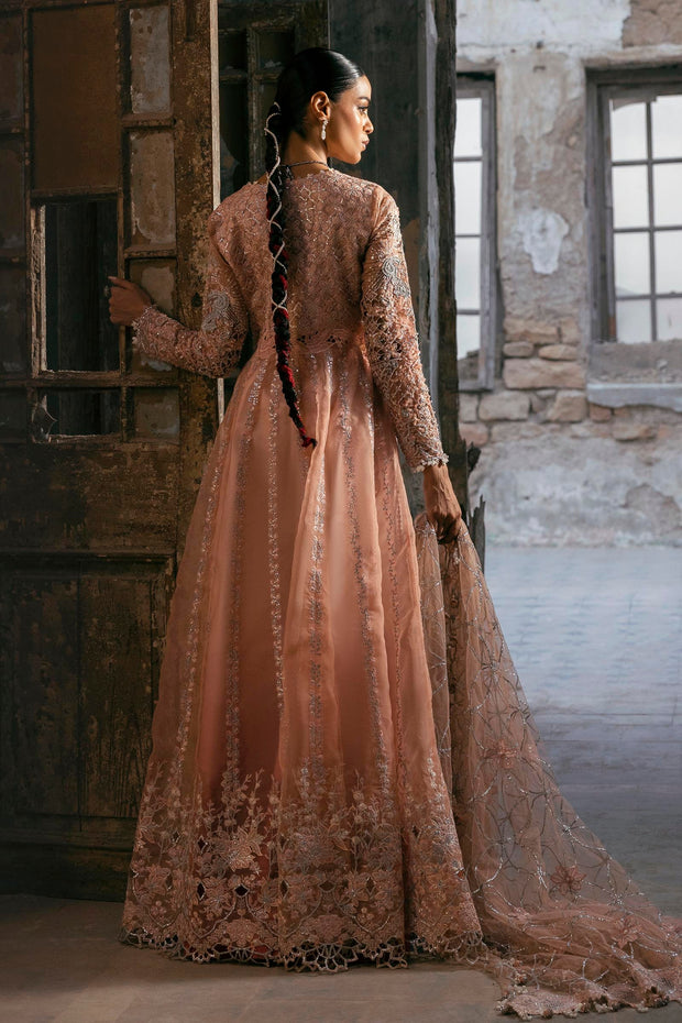 Powder Pink Embellished Organza Ensemble Pakistani Bridal Dress