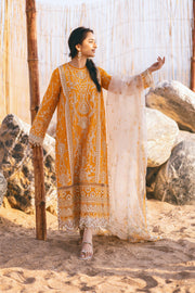 Traditional Mustard Embroidered Pakistani Salwar Kameez Party Dress