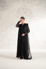 Traditionally Embroidered Pakistani Party Dress Chiffon Frock Style
