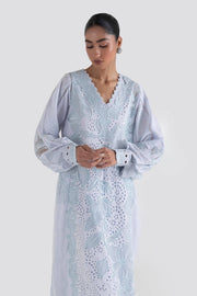 Try Classic Sky Blue Net Embroidered Luxury Pret Pakistani Salwar Kameez