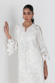 Try Crystal White Embroidered Net Design Luxury Pakistani Party Dress