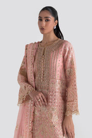 Try Peach Shade Luxury Pret Pakistani Party Wear Stunning Dress