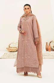 Try Rusty Pink Embroidered Pakistani Salwar Kameez with Dupatta Dress