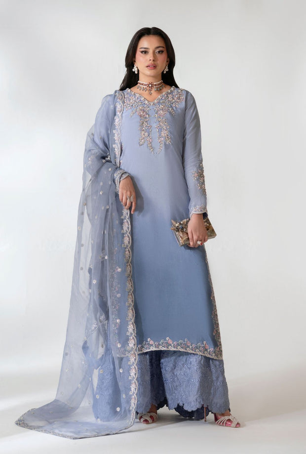 Elegant Pakistani Party Dress with Embroidered Details