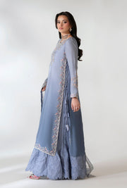 Elegant Pakistani Party Dress with Embroidered Details