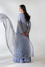 Elegant Pakistani Party Dress with Embroidered Details