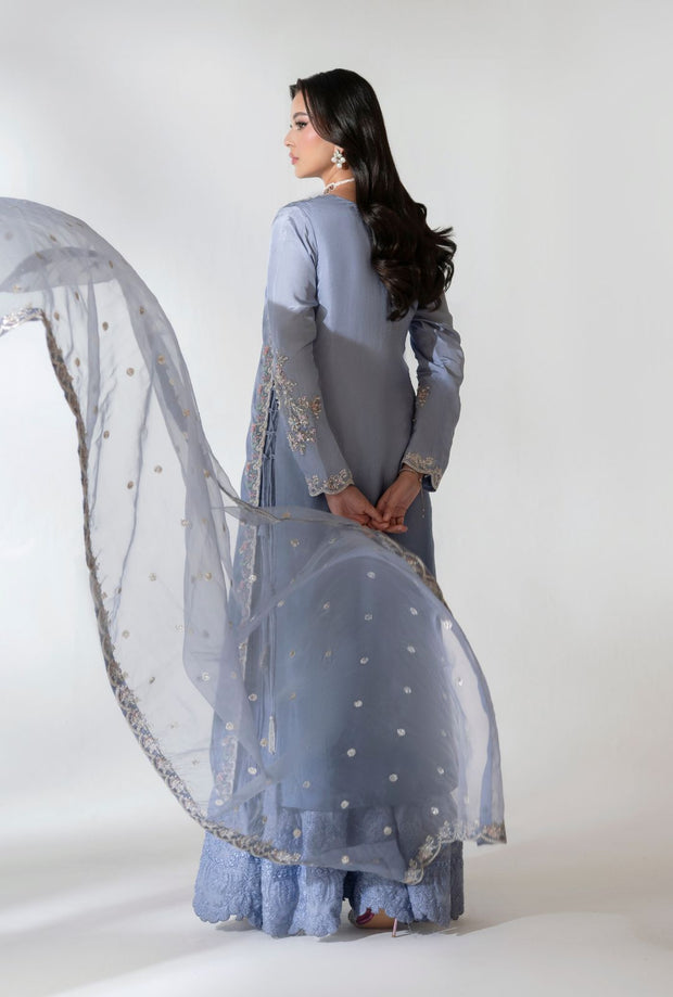 Elegant Pakistani Party Dress with Embroidered Details