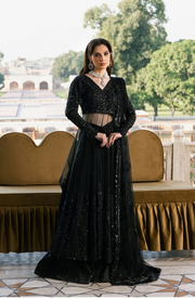 Black Luxury Ensemble Pakistani Dress