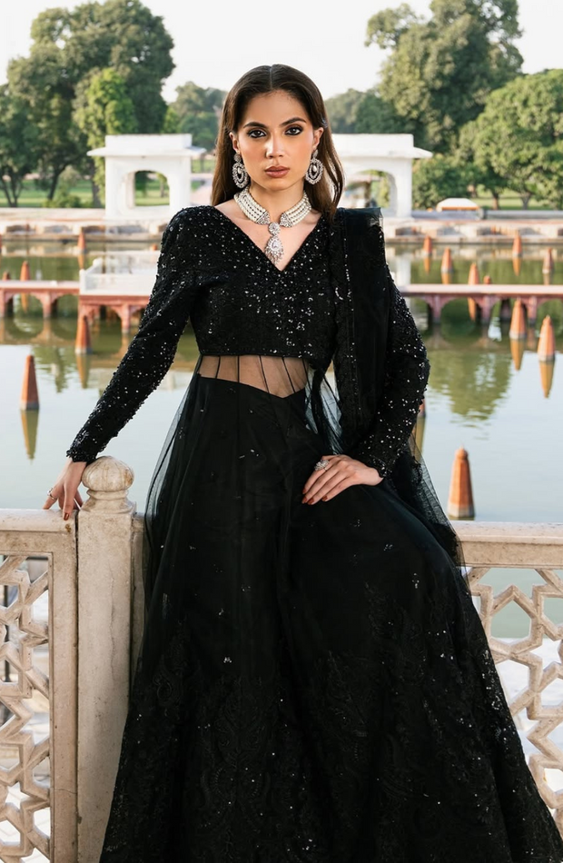 Black Luxury Ensemble Pakistani Dress