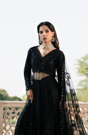 Black Luxury Ensemble Pakistani Dress