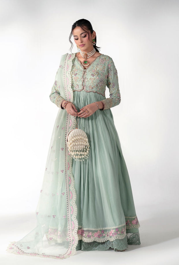 Elegant Pistachio Pakistani Party Dress for Special Occasions