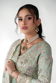Elegant Pistachio Pakistani Party Dress for Special Occasions