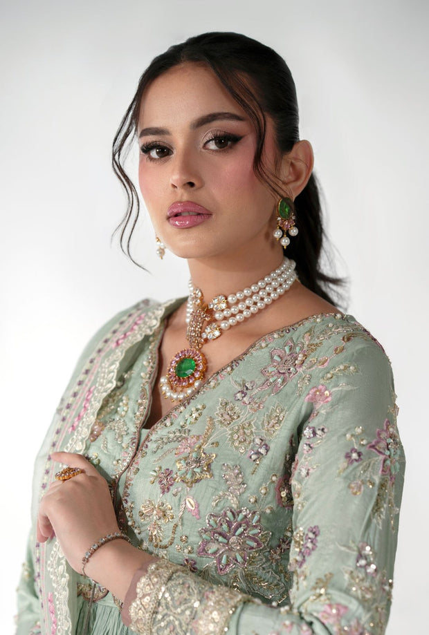 Elegant Pistachio Pakistani Party Dress for Special Occasions