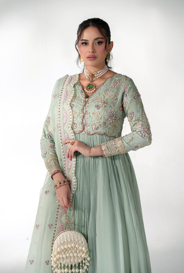 Elegant Pistachio Pakistani Party Dress for Special Occasions