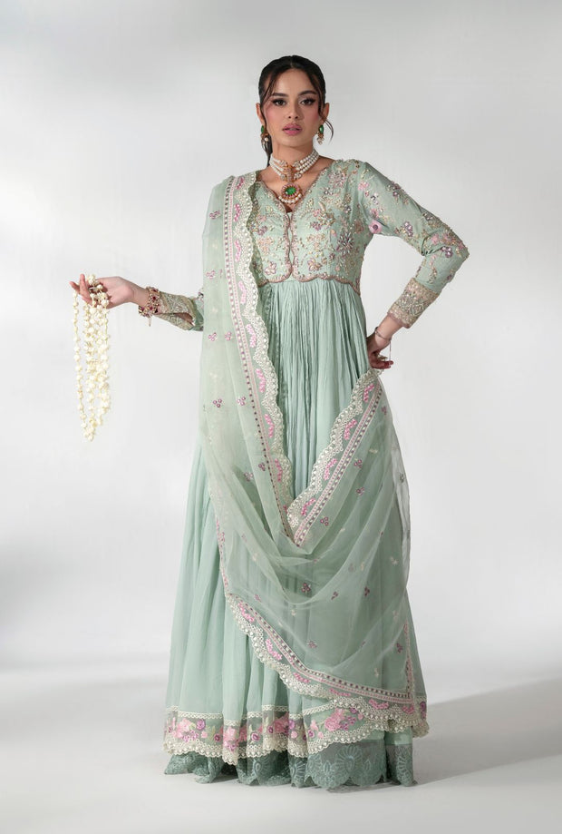 Elegant Pistachio Pakistani Party Dress for Special Occasions