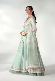 Elegant Pistachio Pakistani Party Dress for Special Occasions