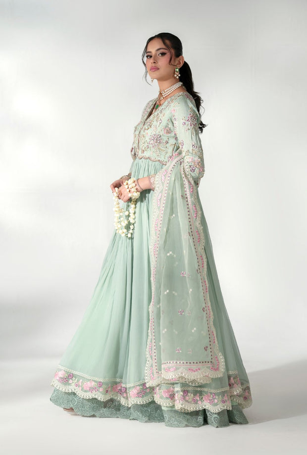 Elegant Pistachio Pakistani Party Dress for Special Occasions
