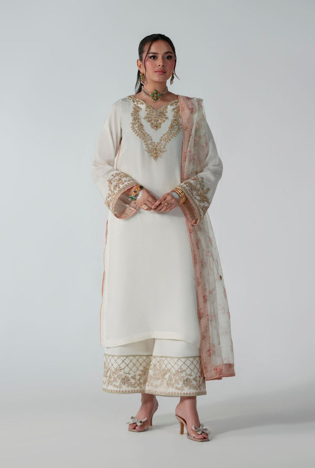 Ethereal Off-White Pakistani Party Dress for Elegance