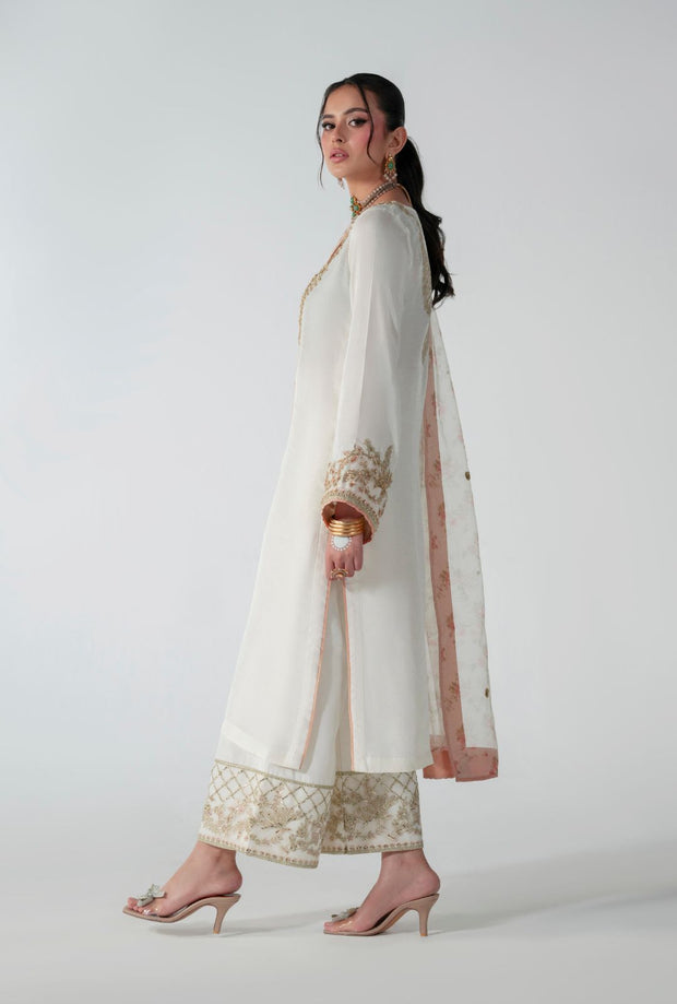 Ethereal Off-White Pakistani Party Dress for Elegance