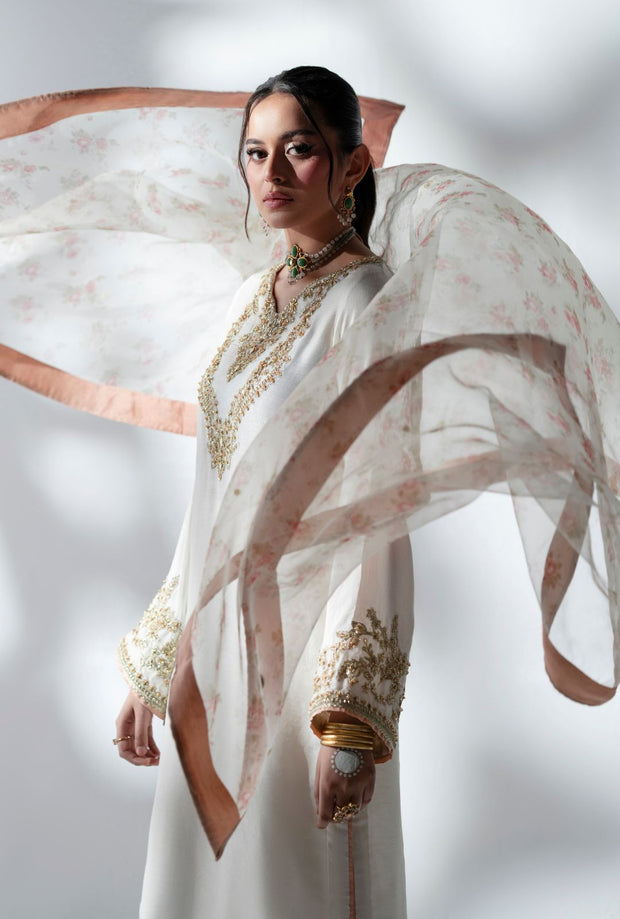 Ethereal Off-White Pakistani Party Dress for Elegance