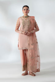Peach Embellished Pakistani Party Dress for Elegance