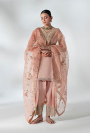 Peach Embellished Pakistani Party Dress for Elegance